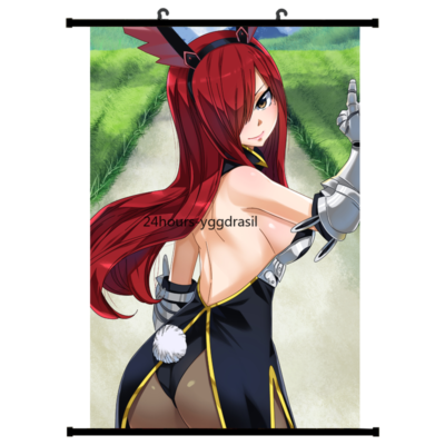 Fairy Tail Erza Sexy Armor