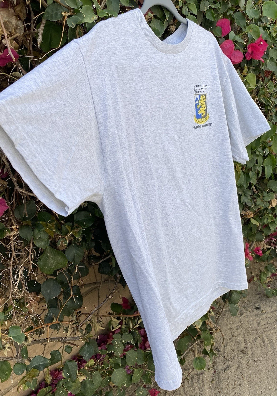 Dragoons Basic Combat Training Charlie War Pigs T… - image 10