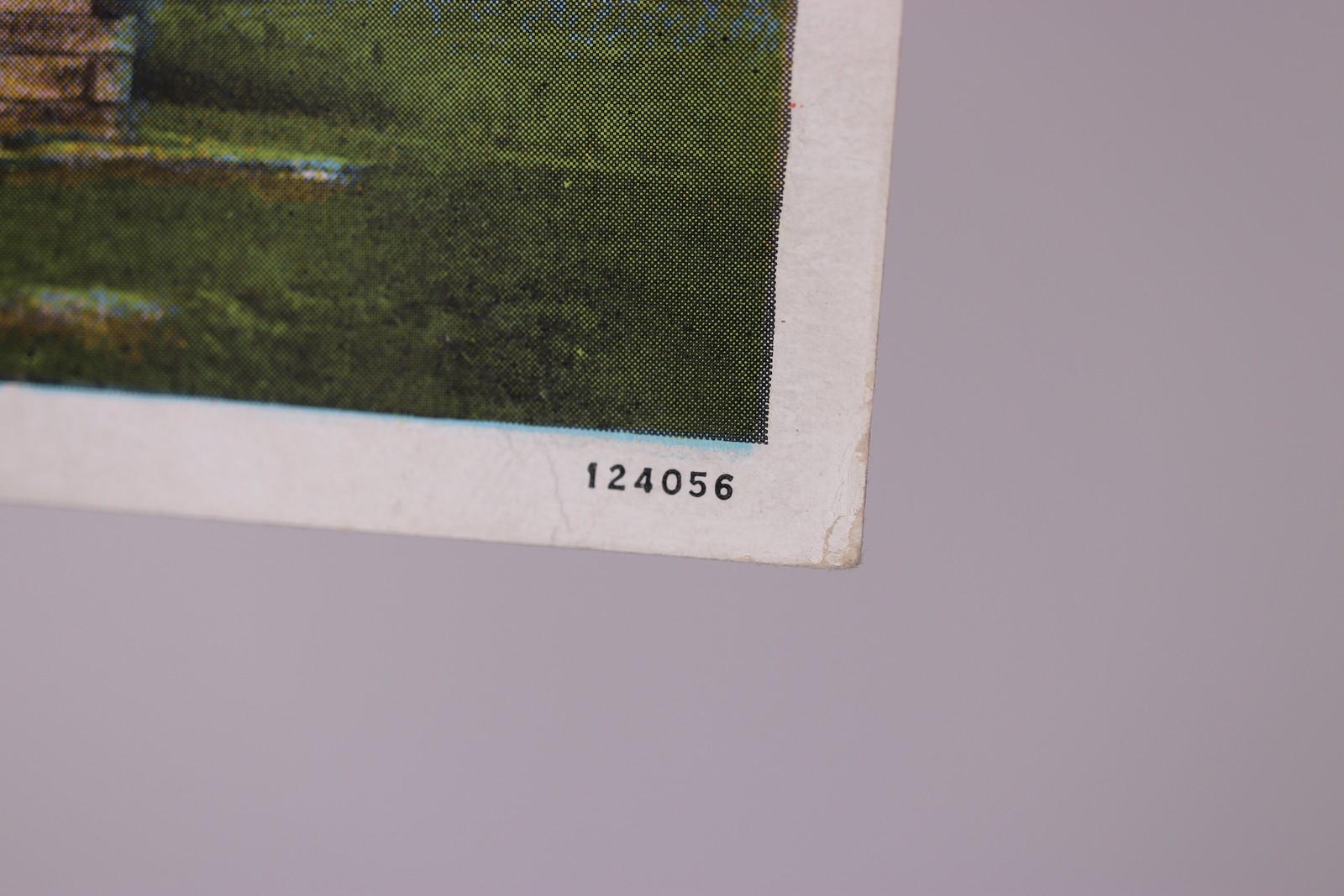 Picture 4