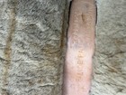 Bild 17 von 18