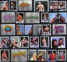 1992 Merlin WWF WWE Wrestling Stickers Complete Your Set U Pick List 150-300