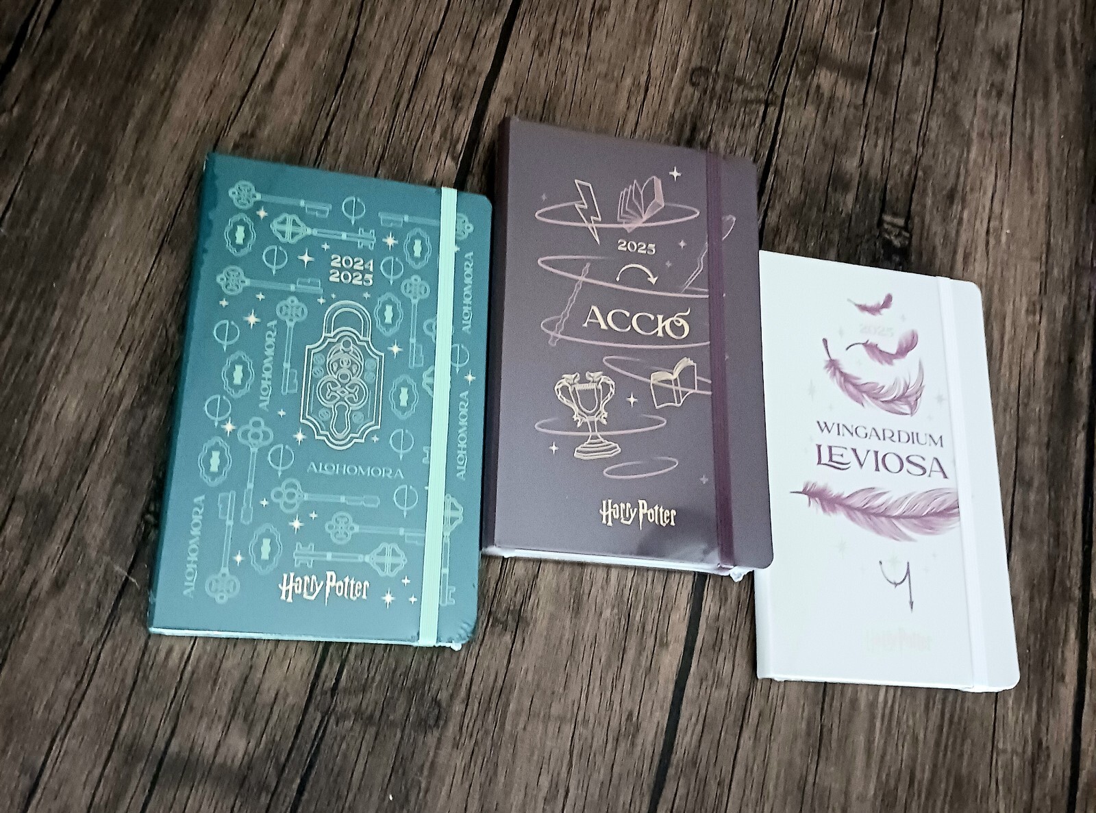 Moleskin Harry Potter Spell Collection