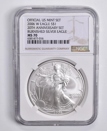 MS70 2006-W Burnished NGC American Silver Eagle 20th Anniv. Set Brown Lbl