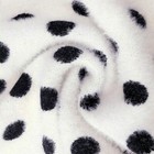 Bild 7 von 10