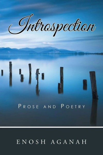 Introspection Prose And Poetry Enosh Aganah Taschenbuch Kartoniert / Broschiert-image