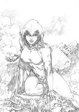Raven (11