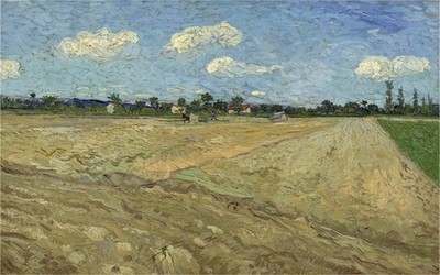 Hand-painted Oil Painting Vincent van Gogh Ploughed Field 