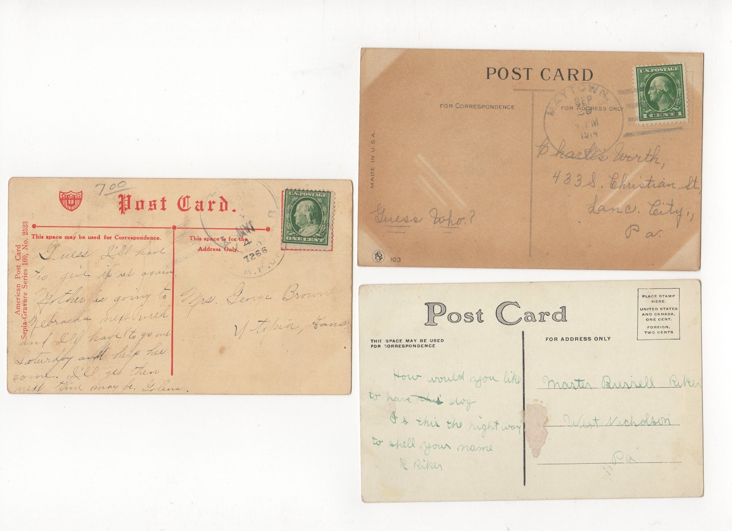 3 POSTCARD Novelty Comic Dog Oversize Head Dachshund Fox Terrier Vintage