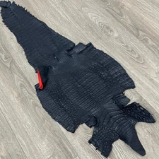 Blue Navy Genuine Caiman Crocodile belly Hide Leather Skin Gator Croc 548