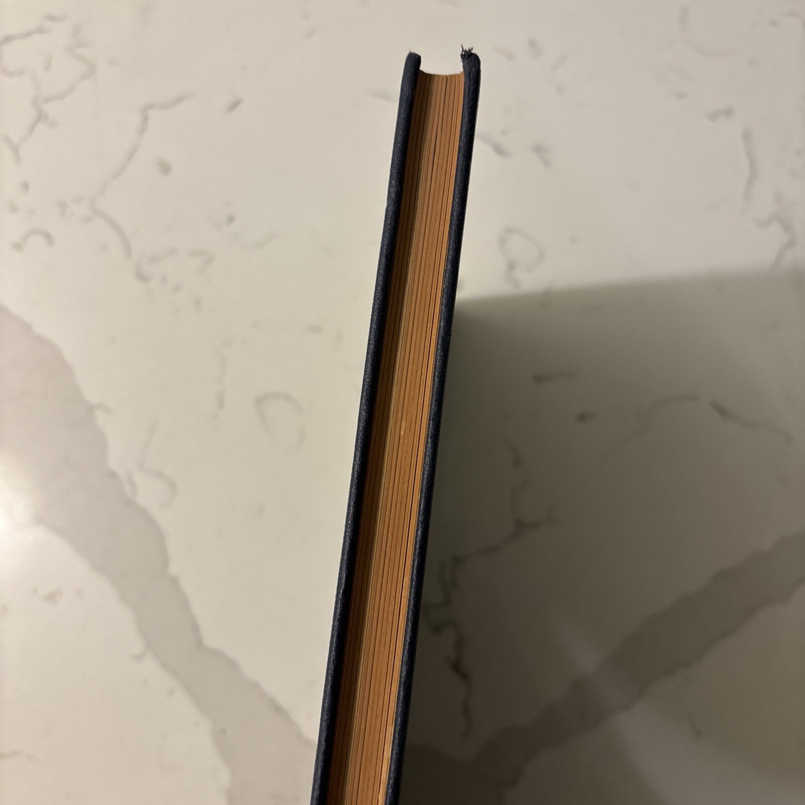 Picture 4 of 10