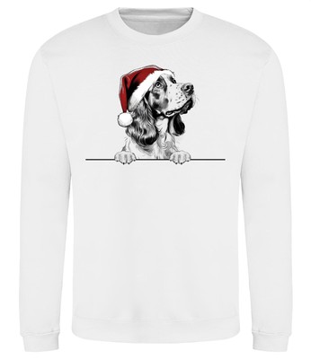 WELSH SPRINGER SPANIEL Weihnachten Hund Sweatshirt Erwachsene Kinder Hunde Pullover Geschenk