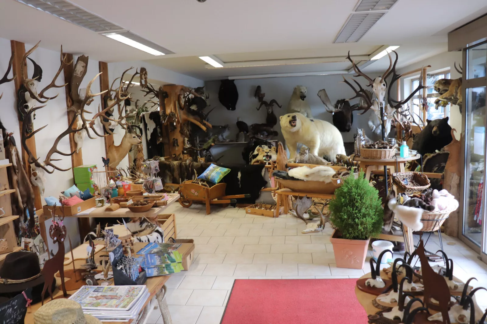 Bild 5 von 5