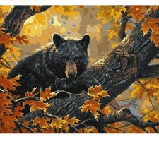 Paint By Numbers Adults Kids Bear Climb Animals DIY Painting Kit 40x50CM Canvas