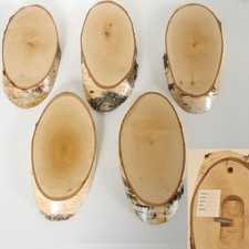 5 Stück Birke Trophäenschilder Reh Rehbock Geweih Baumscheibemit Kauleiste Holz