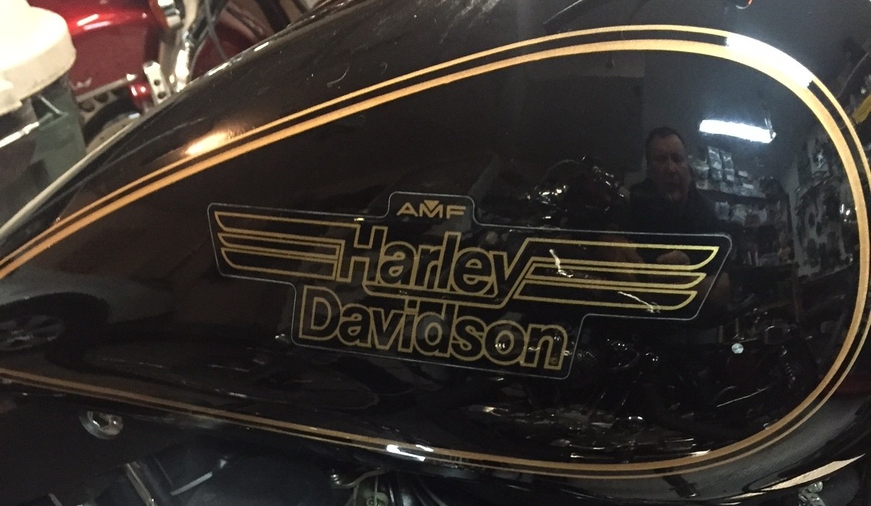 HARLEY DAVIDSON 8182 FXS 82 XLS SPT BLK & GOLD W/AMF GAS TANK DECALS