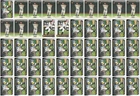 Paul Skenes Pittsburgh Pirates Lot of 50 MLB Baseball Collection - Exact Cards