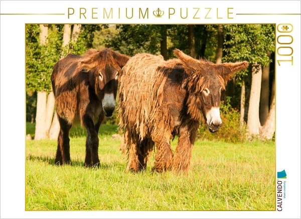 Calvendo Puzzle Freude Am Beisammensein | 1000 Teile Lege-GrößE 64X48Cm Foto-Puz-image