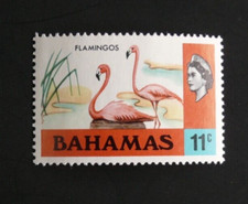 BAHAMAS : 1971 YVERT N° 311 NEUF** SANS CHARNIERE - OISEAUX FLAMANTS ROSES - TBE