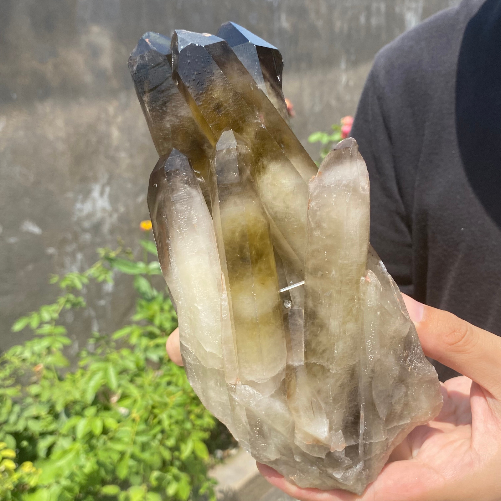 2.9LB Natural citrine quartz cluster crystal specimen Healing