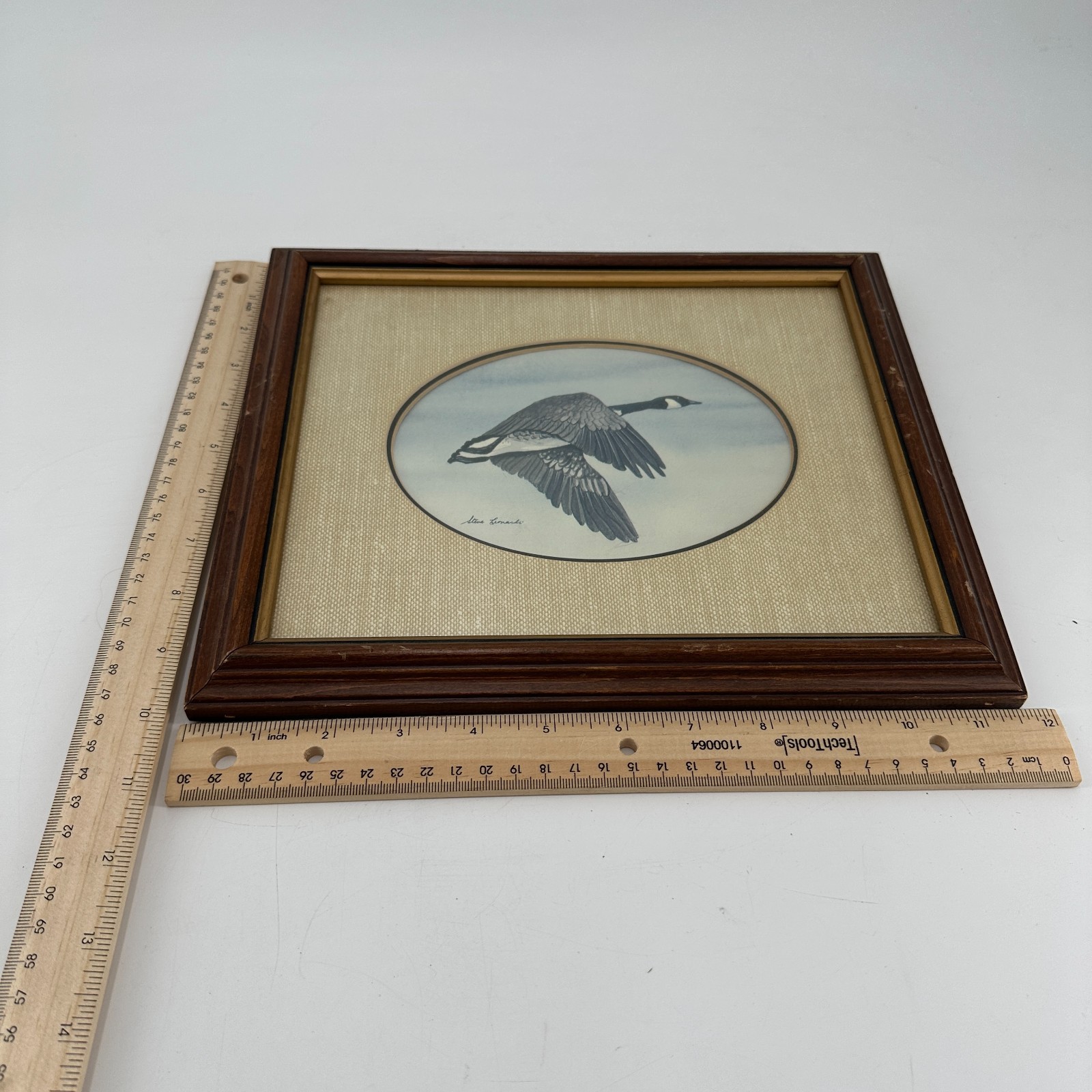 Canada Goose Print in Vintage Wood Frame Steve Leonardi - 8x10 Wildlife Art thumbnail 6