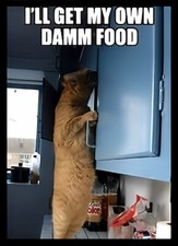 I'll Get My Own Damn Food Cat Funny Friend Pet Love Refrigerator Fridge MAGNET