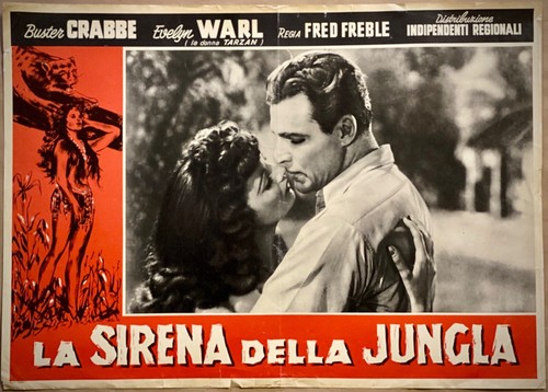 The Mermaid Of Jungle - Fotobusta Originale-Buster Crabbe, Evelyn Warl- 1942- - 第 1/1 張圖片
