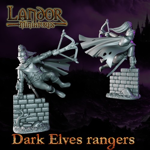 Dark Elves Rangers x10 - Landor Miniatures - Picture 4 of 6