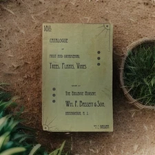 The Bellevue Nursery Catalog 1882  Wm. F. Bassett & Son Hammonton, N.J.   RARE