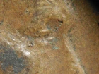 HIGH GRADE MINT ERROR 1938-P  LINCOLN WHEAT CENT DDO#2   VF