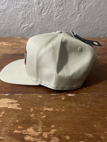 Dickies Skate Twill Flat Bill SnapBack Hat “Desert Sand” Dickies Skateboard NWT - Picture 4 of 10