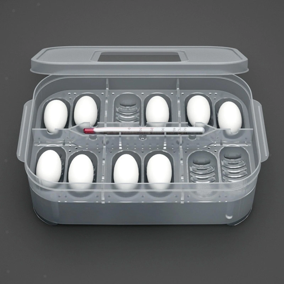 Reptile breeding cheap supplies