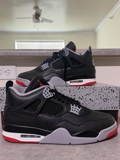 Air Jordan 4 Retro FV5029 006 Bred Reimagined Size 11 Used
