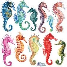 Violette Stickers - Seahorses - 1 Colorful Seahorse Sticker Sheet - Scrapbooks