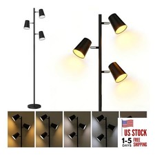 Energetic Dimmable Floor Lamp, Modern LED Tree Lamp, 5 Color Temperature, 