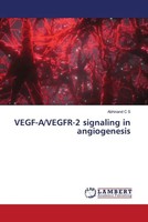Abhinand C S | VEGF-A/VEGFR-2 Signaling In Angiogenesis | Taschenbuch | Englisch