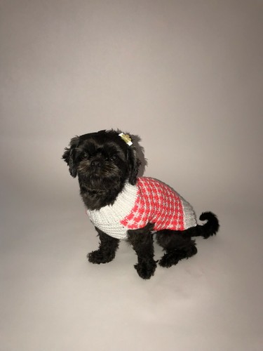 Small dog clothing,pet sweater,dog sweaters,cat sweaters - Picture 2 of 5