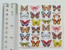 Violette Stickers - LITTLE BUTTERFLY - 4x4 Square Sheet of Stickers K30