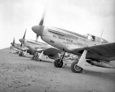 North American P-51 Mustang World War II WWII WW2 8x10 Photo 379c