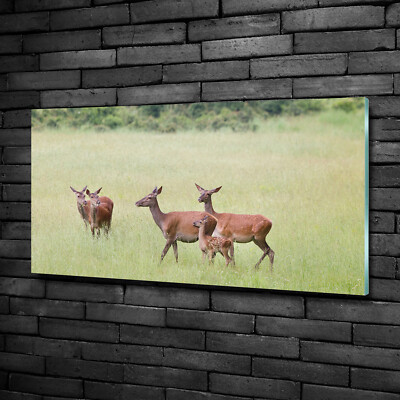 Wandbild aus Plexiglas  Druck auf Acryl 100x50 Tiere Reh Kitz