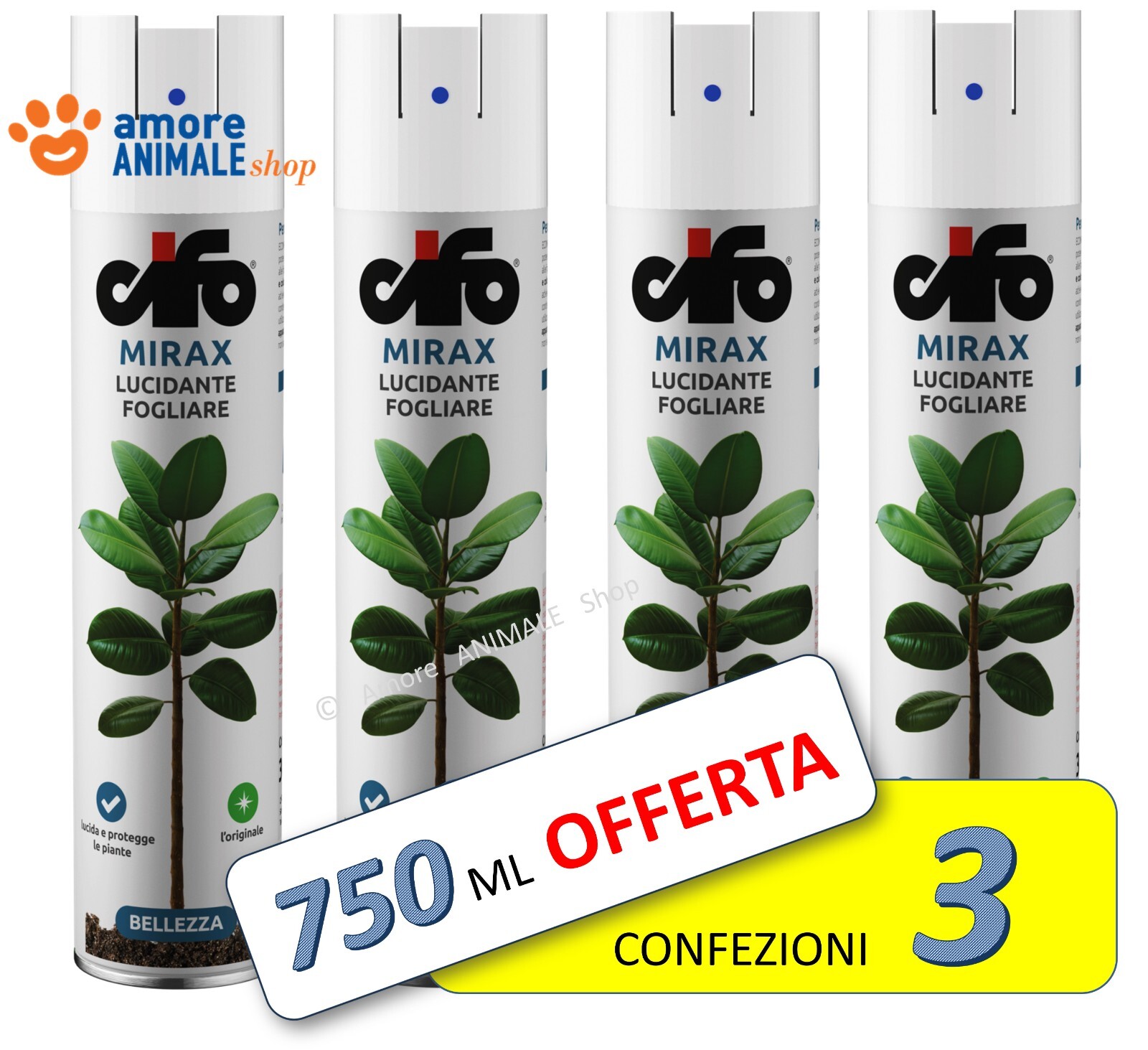 Foto 5 di 7