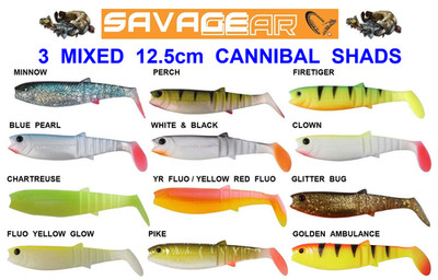 3 MIXED 12.5cm CANNIBAL SHADS GAME COARSE SEA FISHING LURES BASS PIKE SOFT BAIT
