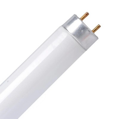 1 x TCP LED T8 Röhre Glühbirne 720 Lumen warmweiß, 8W, 600mm