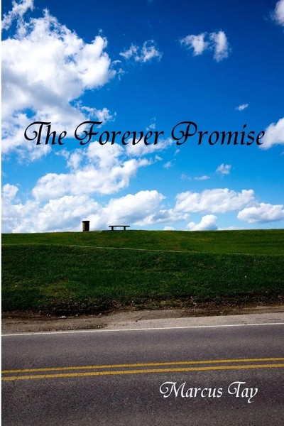 Marcus Tay | The Forever Promise | Taschenbuch | Englisch (2019)-image