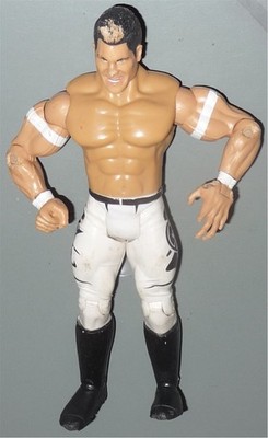 EVAN BOURNE WWE Jakks ECW Series 5 Ruthless Style Figure Toy Loose READ SEE PICS