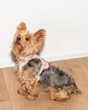 Wild One Dog Harness SMALL Adjustable Blush Pink NEW