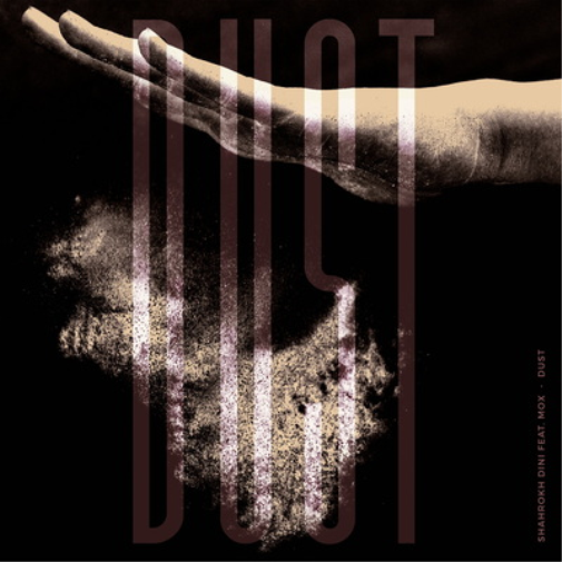Shahrokh Dini Dust (Vinyl LP) 12" EP