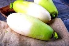 Korean Radish Seeds for Planting - 100+ Seeds - Rare Garden Vegetable Seeds - De