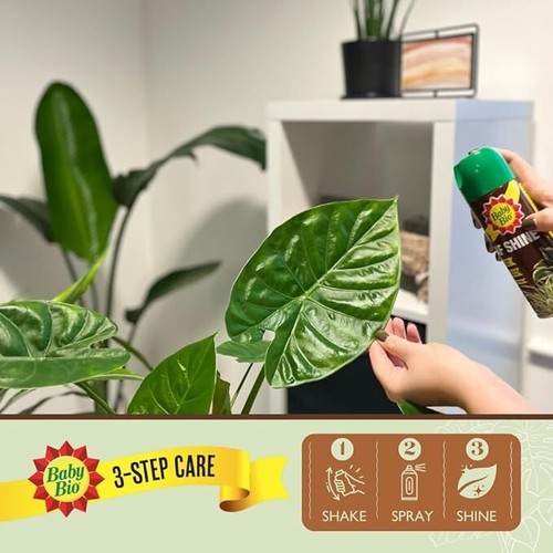 Baby Bio 84899143 Leaf Shine, 200ml Ready To Use Aerosol Spray for Plant Leaves - Picture 4 of 7