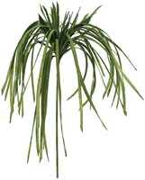 Europalms Seegras (Eva), GrüN