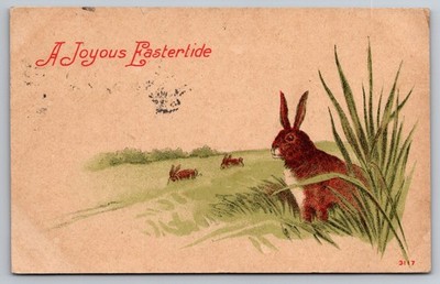 Easter Joy - Brown Bunnies Playing in a Grassy Field - Early 1900 Postcard